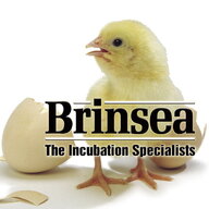 BrinseaUSA