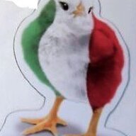 italian chick