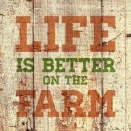 MerryMeadowFarm