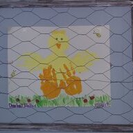 Faith Family Farm