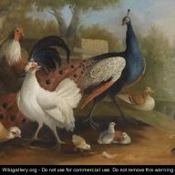 GrannieJ