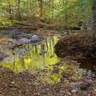 Hickory Creek