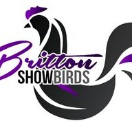 BrittonShowBirds