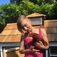 ChickChickChick79