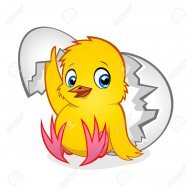 Fuzzyclucks