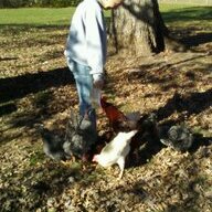 eight is enough
