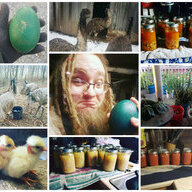 Trippy Dippy Hippy Farms