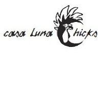 CasaLunaChick