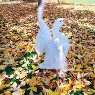 Bubbles & Nibbles Mom