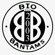 BioBantams