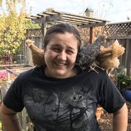 lillytheflower