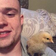 chris.donovan96