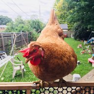 rebeccabrown72
