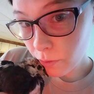 chickenmomma6