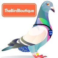 thebirdboutique