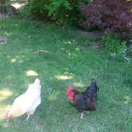 Mr&MrsSimmonsCalifornia