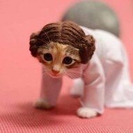 myvetluvsme