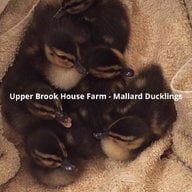 Upper Brook House Farm