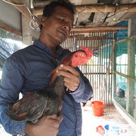 Nazrul