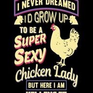 Chickrdoodledoo