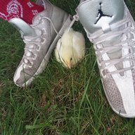 Closetchickens