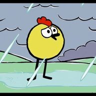 Duckduck24