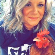 ChickyFeed