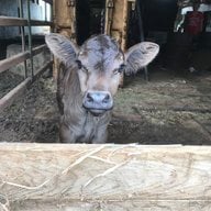 Farmgirl1228