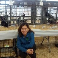 4-H chicken shower