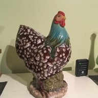 HennyPenny2019