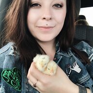 sierraxrenee