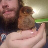 Keetonfowl