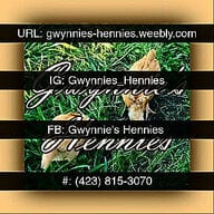 GwynniesHennies