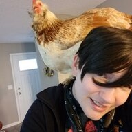 Floofinbird