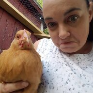 Mrssak11