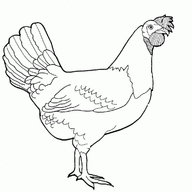 Serafin