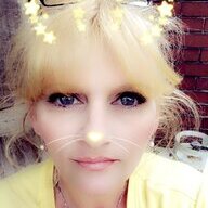 LilFox