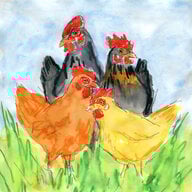 RootandRoost