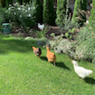 CoopersFarm
