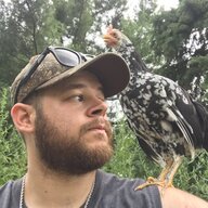 I am the Chicken Lord