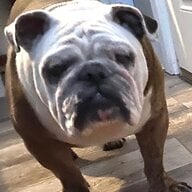 Daisyb