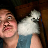 Chicken_boy2222