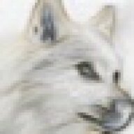Wolfwoman