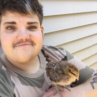MattTheChickenMan