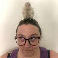 LemonChicken