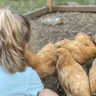 ChickyMama207