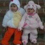 ChickenShell-A
