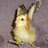 mythkat