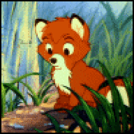 sagefox