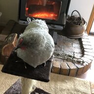 PippaHall